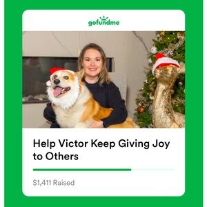 Dog is not for sale but his life somewhat is